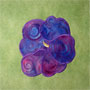 Hibiscus block